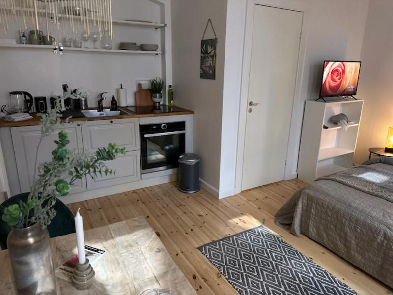 Fantastic Studio Apartment Copenhagen Exterior photo